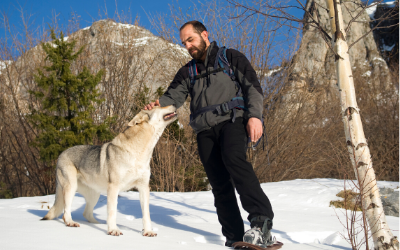 image for January is Train Your Dog Month